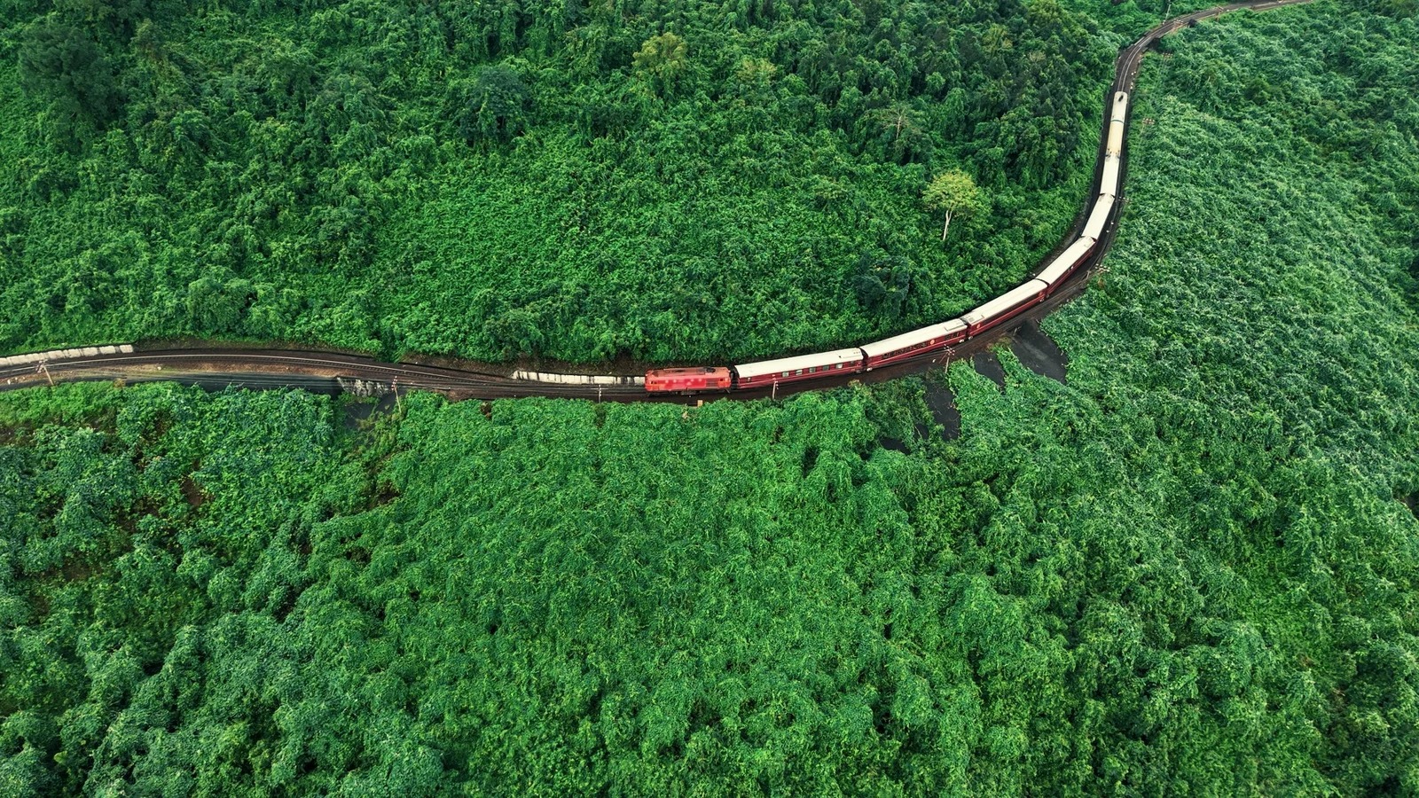 Aerial view of the SJourney train winding through Vietnamese rainforest